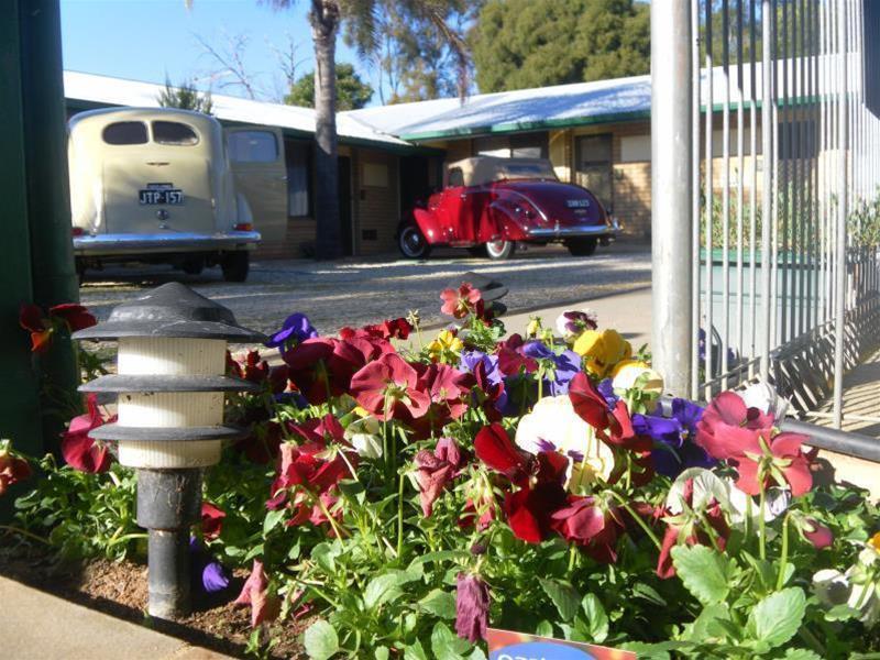 Lone Pine Motel Corowa Exterior photo